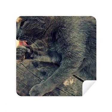 Imagem de Óculos de limpeza de tela com estampa animal de gato cinza para fotografia de óculos camurça pacote com 2