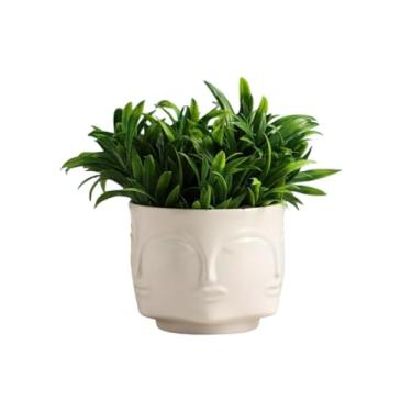 Imagem de Vaso de plantas de rosto moderno – Vaso de suculenta de gesso branco para decoração de casa, pequeno vaso de escultura estética para mesa, prateleira ou peitoril da janela, vaso interno minimalista