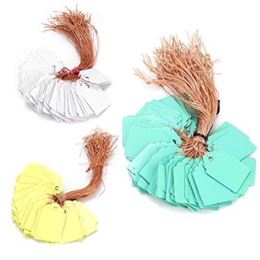 Imagem de TEUOPIOE Plant Hanging Tags 300pcs Tags com String Etiquetas de Plantas Reutilizáveis ​​Marcadores de Plantas de Plástico Sinais de Jardim Marcadores de Jardim para Plantas Jardim Exterior