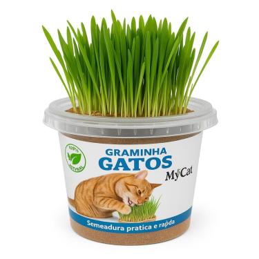 Imagem de Graminha Gatos Pote Com Sementes Naturais Para Plantar 50g