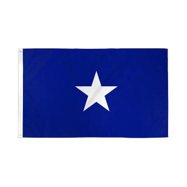 Imagem de AZ FLAG - Bandeira da República do Oeste da Flórida - 9,5 cm x 1,5 m - Faixa azul Bonnie de poliéster 100D com dois ilhós de metal - Resistente ao desbotamento - Cores vivas - 150 x 90 cm