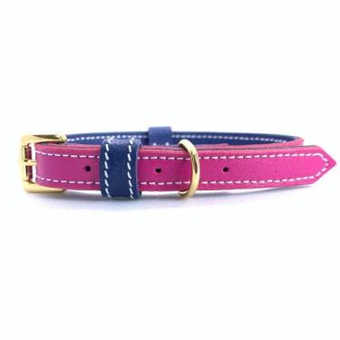 Imagem de Coleira de Couro para Cachorro e Gato - Fuschia com Royal - Le Blu Ace