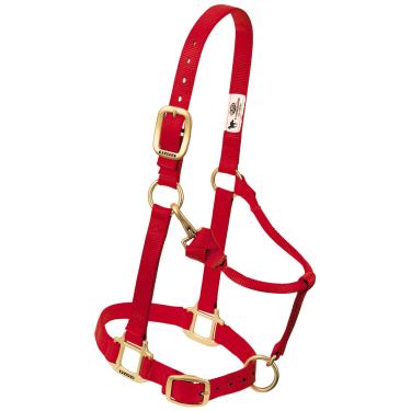 Imagem de Weaver Leather Halter ajustável de nylon para cavalo, 2,54 cm (1"), média, vermelho