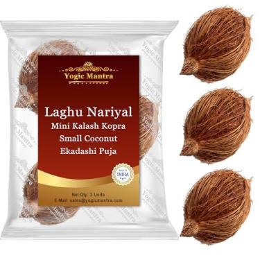 Imagem de Yogic Mantra Laghu Nariyal (3 Pcs.) Kalash Nariyal Small Coconut Figurine for Ekadashi Puja & Mahalaxmi Pooja. Tiny Laxmi Nariyal, Mini Coconuts for Home Prayer Mahalakshmi Kalash Lota Havan Samagri.