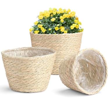 Imagem de Cestas de plantas de algas marinhas internas, conjunto de 3 peças, vasos de flores com forro à prova d'água, cestas decorativas de armazenamento para decoração de casa
