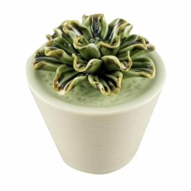 Imagem de Mini Vaso Decorativo Em Cerâmica Com Suculenta 10cm - Btc