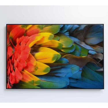 Imagem de Quadro Penas Coloridas Arara Amazônia 90x60 Cm Tecido Canvas