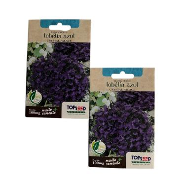 Imagem de 2X Sementes de Lobelia Azul Atrai Abelhas Jataí Flores Jardins (2)