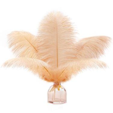 Imagem de Feathers Soarer Champagne Ostrich 30-35 cm para vaso de 15 unidades