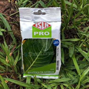 Imagem de Sementes Couve Manteiga de Georgia Isla 50g Kit 2 un - Isla Sementes