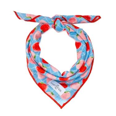 Imagem de Lucy & Co. Bandana Fresh Berries – Bandana durável e confortável para cães – Lavável na máquina – Acessório para filhotes de cachorro – Morangos azuis grandes