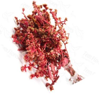 Imagem de Dedo De Anjo Flor Desidratada Buque Flores Secas - Pense Flores, Rosa