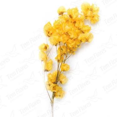Imagem de Bougainvile Desidratado Buque Flores Secas - Pense Flores, Amarelo