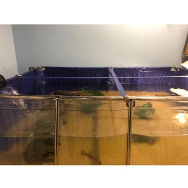 Imagem de Tanque de peixes de lona de PVC para aquário ou lagoa, painel de visualização transparente e válvula de drenagem, ideal para Koi, peixinho dourado e tartarugas (50 x 40 x 30 cm) - Piscina com moldura