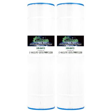 Imagem de HANXER Filtro de piscina substitui C-8413, Filbur FC-2575, PWWPC125B, Sta-Rite PXC-125, Posi-Clear PXC-150, Waterway Pro Clear 125, Darlly 81253, cartucho de filtro de 125 metros quadrados, pacote com