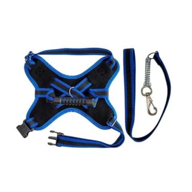 Imagem de Coleira e Guia para cachorro nome personalizado Peitoral pequeno médio grande porte(Azul,PP)