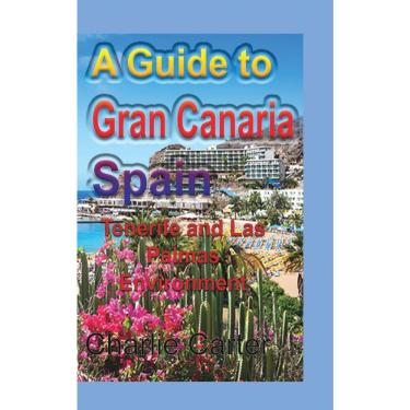 Imagem de A Guide to Gran Canaria Spain