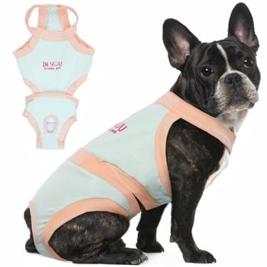 Imagem de Fraldas de cachorro femininas de algodão laváveis com suspensório, calcinhas higiênicas macias e reutilizáveis para cães pequenos, roupa íntima fofa para incontinência de filhotes, design antiassédio