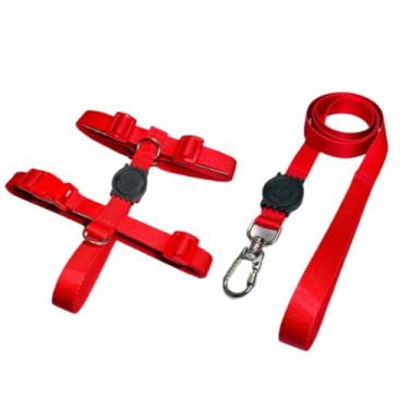Imagem de Coleira Peitoral H Anti Puxão e Guia 1,10m para Cachorro Varias Estampas(Vermelho,P)