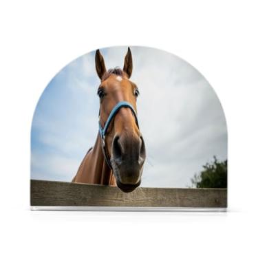 Imagem de JUZIHAI Porta-guardanapos de cavalo engraçado para mesa dispensador de guardanapo de acrílico para mesa suporte de lenços independente para cozinha sala de jantar bar festa decoração de casa