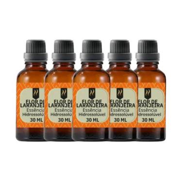 Imagem de Super Kit 5 Essências A Base Água Hidrossolúvel 30ml Difusor - Nattuar