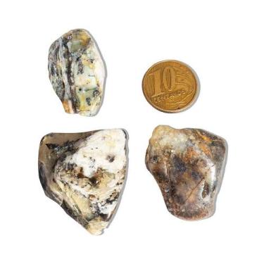 Imagem de Opala Rolada Natural Tipo A - Pedra Fossilizada 20 a 30mm para Orgone 