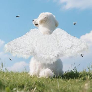 Imagem de Fantasia para cachorro Onmygogo Funny Faux Feather Wing Size L