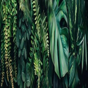 Imagem de Quadro Decorativo Folhagens de Samambaia e Folhas - Arte Natural para Sala, Quarto e Escritório 40x40cm