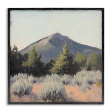 Imagem de Stupell Industries Tucson Mountain Landscape Gray Framed Giclee Art, design by Petal Prints Design, 61 x 61 cm