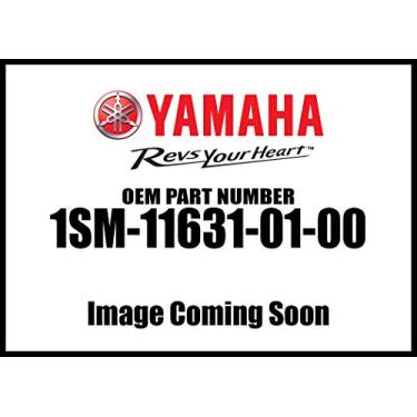 Imagem de PISTON, PADRÃO, Peça OEM OEM ATV / Motocicleta / Embarcação / Snowmobile Part, [fs]