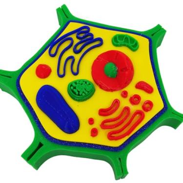 Imagem de Célula Vegetal 14 cm Impressão 3d Maquete Biologia Citologia