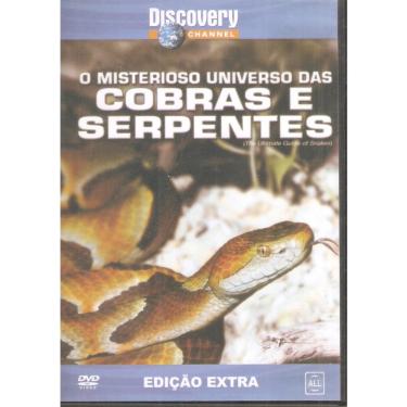 Imagem de Dvd O Misterioso Universo Das Cobras E Serpentes