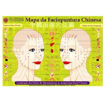 Imagem de Mapa - Faciopuntura Chinesa - Profº. Franco Joji Enomoto -  Instituto 