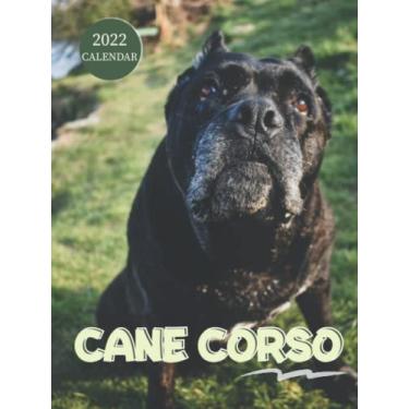 Imagem de Cane Corso 2022 Calendar: 12-month Calendar 2022 from Jan 2022 to Dec 2022 in mini size 8x6 inch