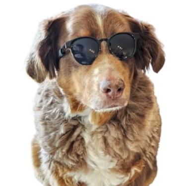 Imagem de G006 Óculos de sol retrô para cães dos anos 80 ajustáveis para raças médias de 9 a 18 kg para festa cosplay sessão de fotos (Panto Preto)