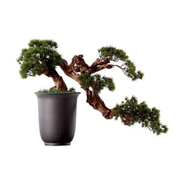 Imagem de Bonsai artificial, árvore artificial, bonsai, pinheiro, conífera, bonzai, vaso de cerâmica, textura, escritório, plantas artificiais de interior para decoração de casa, árvore de simulação (preta)