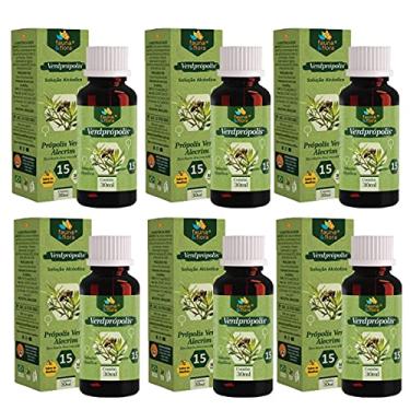 Imagem de Extrato Própolis Puro Kit com 6 Verde Alecrim 15% Imunidade Vitamina Aquoso 30 ml Natural