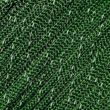 Imagem de West Coast Paracord – Resistência à tração 95 – 1 corda refletiva Paracord (1,5 m, verde Kelly)