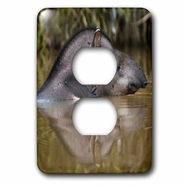 Imagem de 3dRose LLC lsp_86541_6 Vida Selvagem Brasileira, Floresta Iwokrama, Guiana Sa11 Pox0080 Pete Oxford 2 Plugues