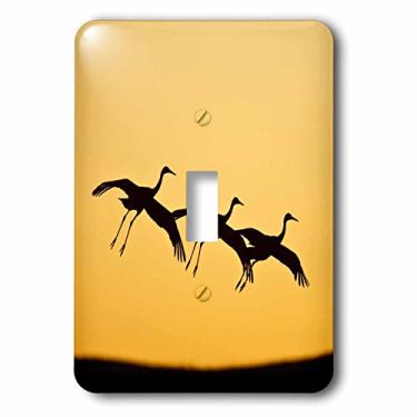 Imagem de 3dRose lsp_145229_1 Sandhill Crane Bird Landing, Novo México, Usa Us32 Ldi0032 Larry Ditto Interruptor de alavanca única