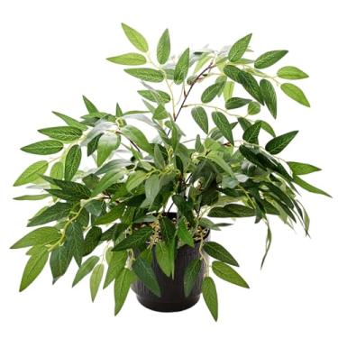 Imagem de Ewtogift Planta falsa de 45 cm de altura com folhas de salgueiro verde artificial em vaso de cerâmica preta texturizada planta decorativa realista para casa, escritório, banheiro, cozinha, estante de