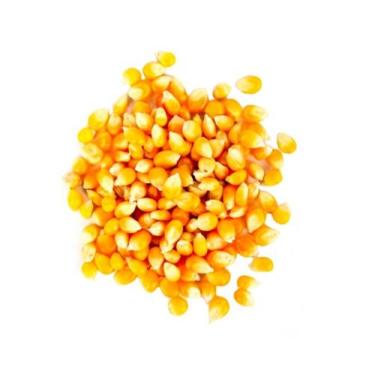 Imagem de Milho Para Pipoca Tipo Mushroom - 1kg - Cia Norte