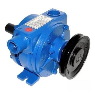 Imagem de Bomba De Vacuo 300 Litros Triunfo (2 Pes) Bvt 1 Para Ordenhadeira