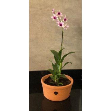 Imagem de Vaso Furado De Barro Cachepot Cerâmica P/ Orquídeas 22x10cm - WS SUPOR