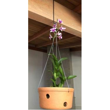 Imagem de Vaso Cachepot Furado De Barro Cerâmica Para Orquídea 17x9cm - WS SUPOR