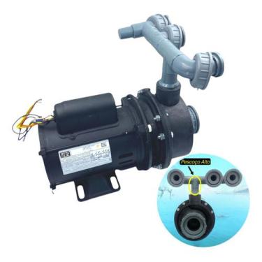 Imagem de Motobomba Para Piscina Igui Modelo Pescoço Alto 1/2cv Para 3 Registros