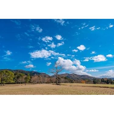 Imagem de Quadro Decorativo com Estampa Landscape Imagesingle Dead Trunk Tree Field 50 x 50 Papel 3 unidades