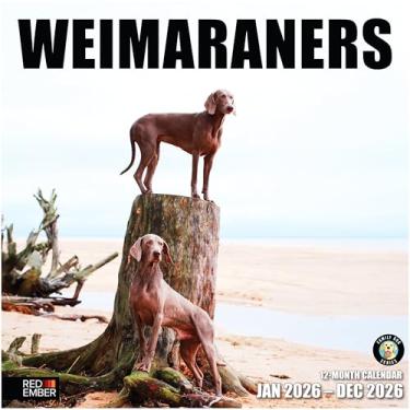 Imagem de RED EMBER Weimaraners Calendário de parede 2026 12 meses | 30,5 cm x 61 cm aberto | Papel grosso e resistente | Presente | Calendário 2026