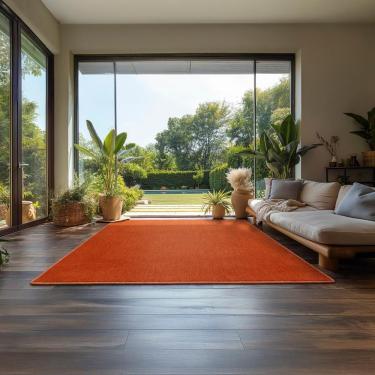 Imagem de Tapete Elegant Terracotta 100x150cm Tapetes São Carlos