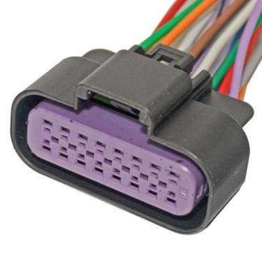 Imagem de Chicote Injeção Eletrônica 16 Vias Fêmea - RAINHA 7 - ETE5127 - R7